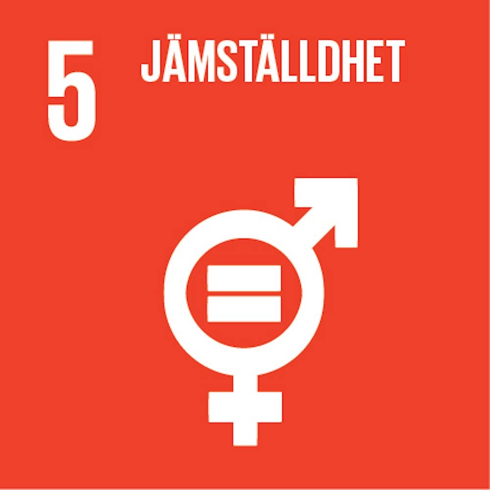 5 - Jämställdhet