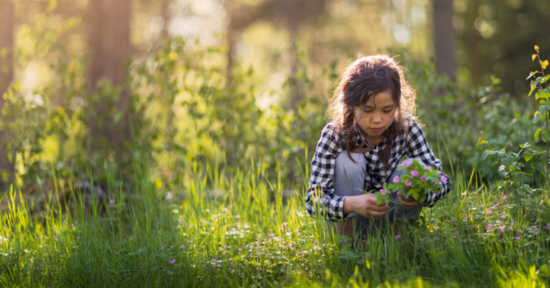 Bild på flicka som plockar blommor