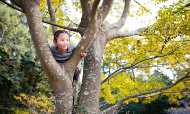 Bild på flicka i ett träd