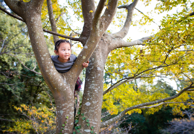 Bild på flicka i ett träd