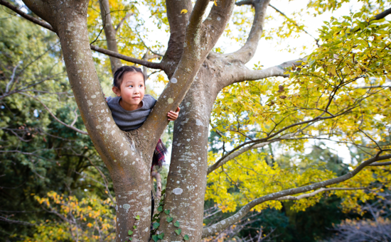 Barn som klättrar i ett träd