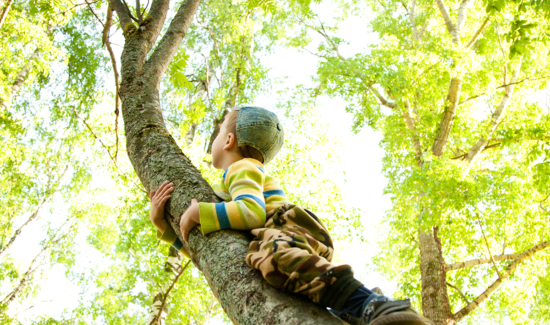 Pojke klättrar i träd
